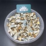 PENIS ENVY Mushrooms